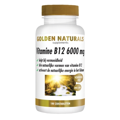 GOLDEN NATURALS VITAMINE B12 6000MCG 180ST